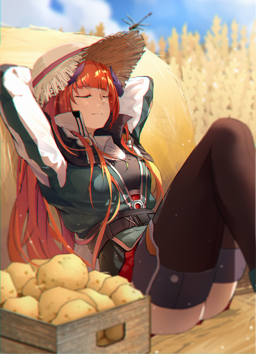 Bagpipe (Arknights) Rule 34 Image