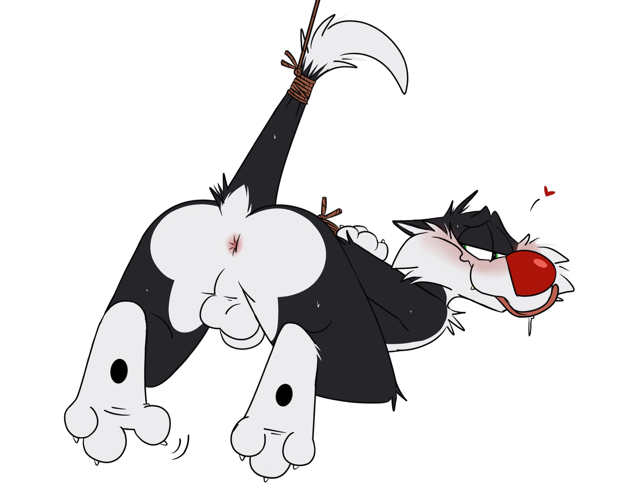 Sylvester (Looney Tunes) Rule 34 Image