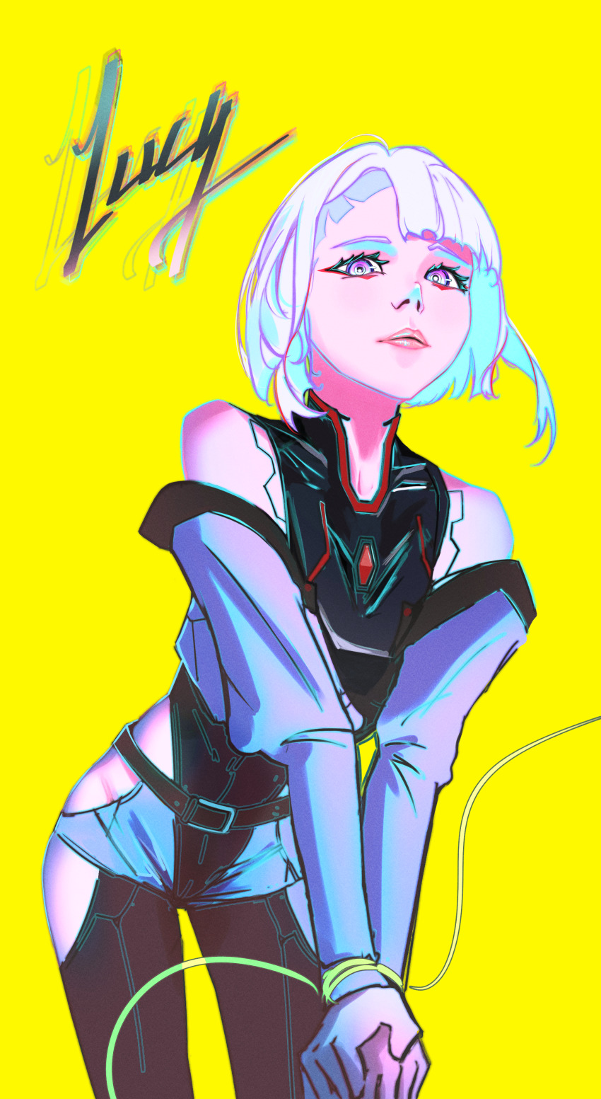 Cd Projekt Red Rule 34 Image