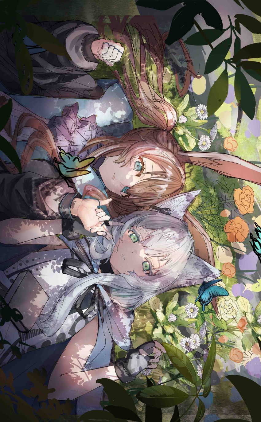 Amiya (Arknights) Rule 34 Image