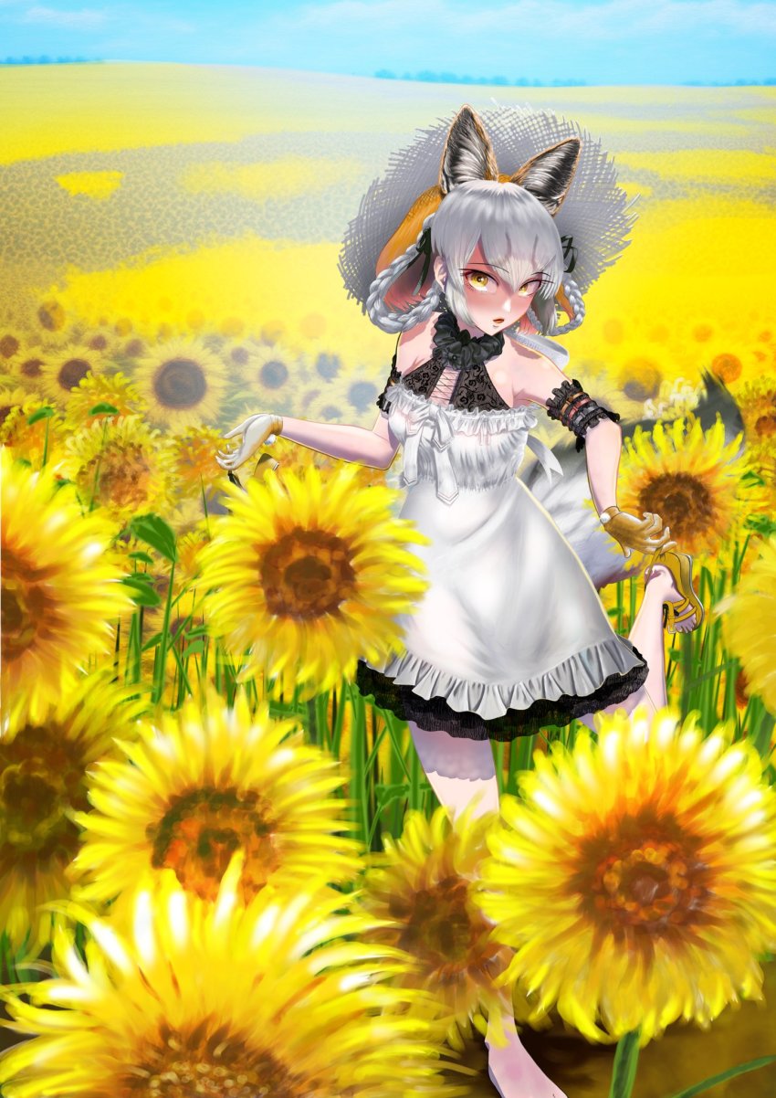 Island Fox (Kemono Friends) Rule 34 Image