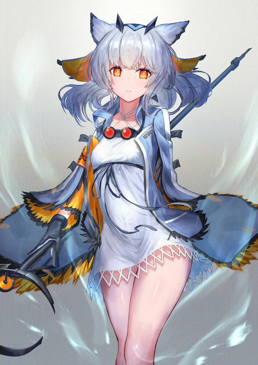 Ptilopsis (Arknights) Rule 34 Image