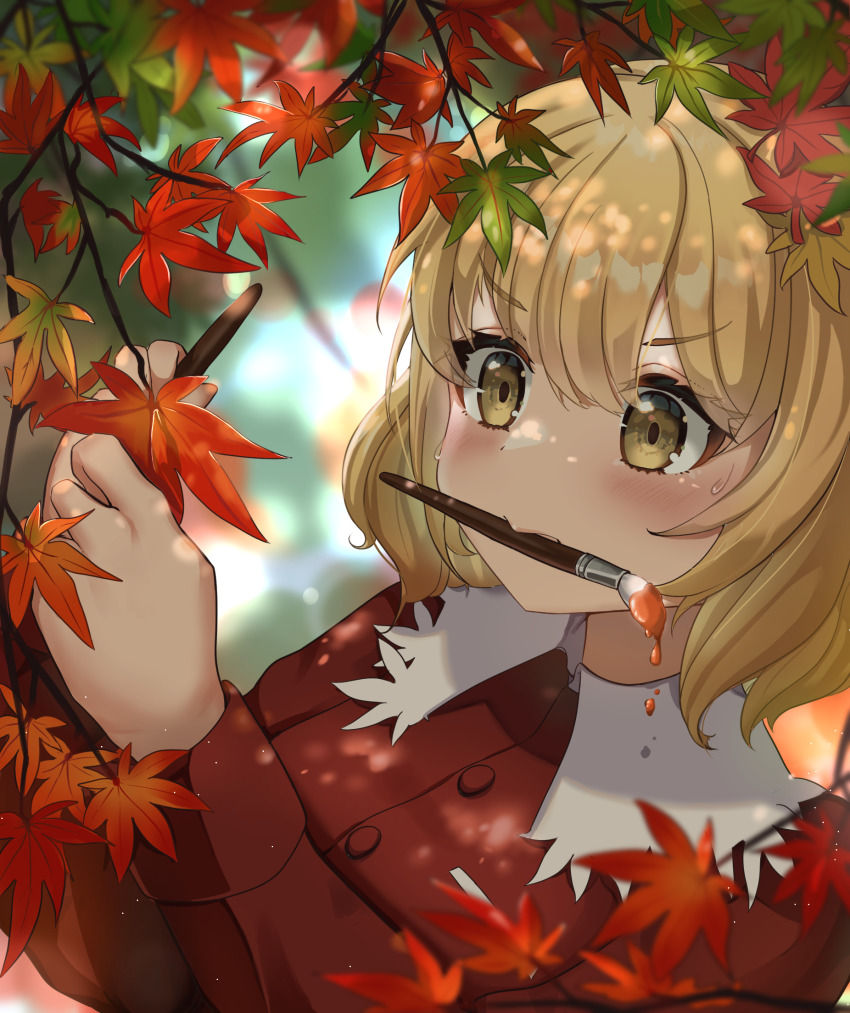 Aki Shizuha (Touhou) Rule 34 Image