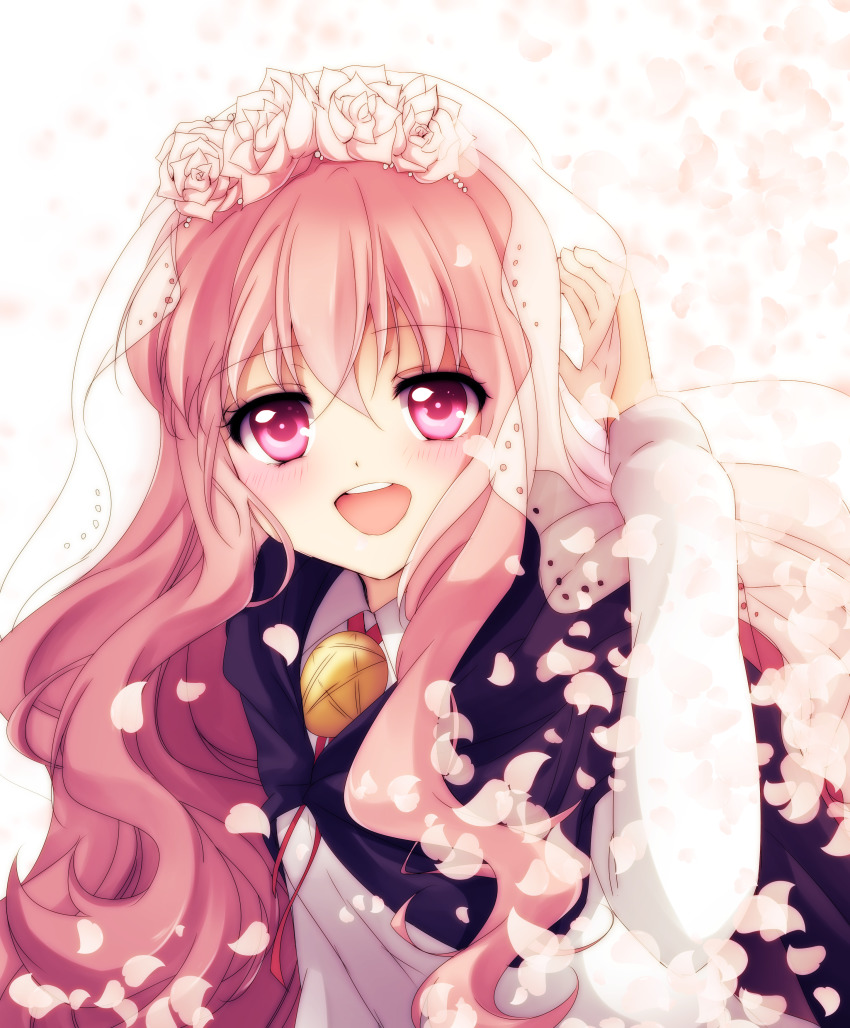 Louise Francoise Le Blanc De La Valliere (Zero No Tsukaima) Rule 34 Image