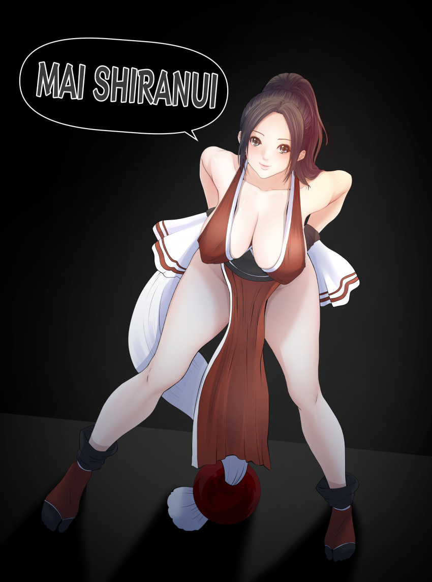 The King Of Fighters Rule 34 Image