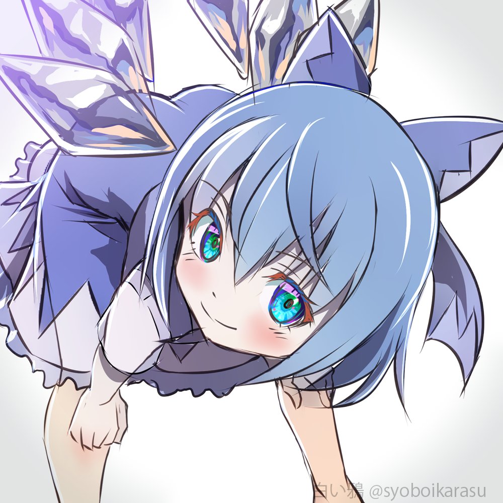 Cirno (Touhou) Rule 34 Image