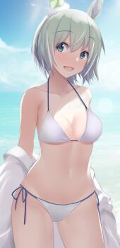 Seiun Sky (Umamusume) Rule 34 Image