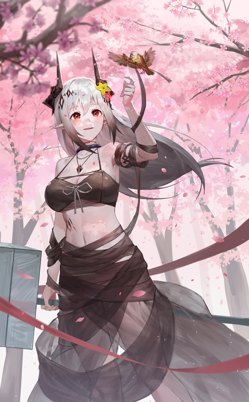 Mudrock (Arknights) Rule 34 Image