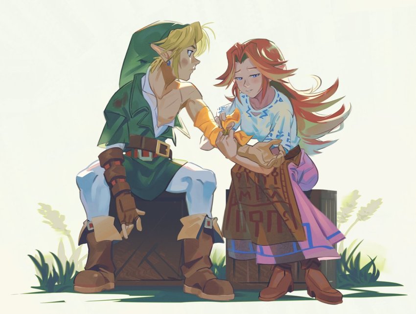 Link (Nintendo) Rule 34 Image