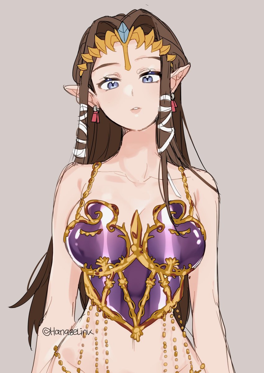 Princess Zelda (Nintendo) Rule 34 Image