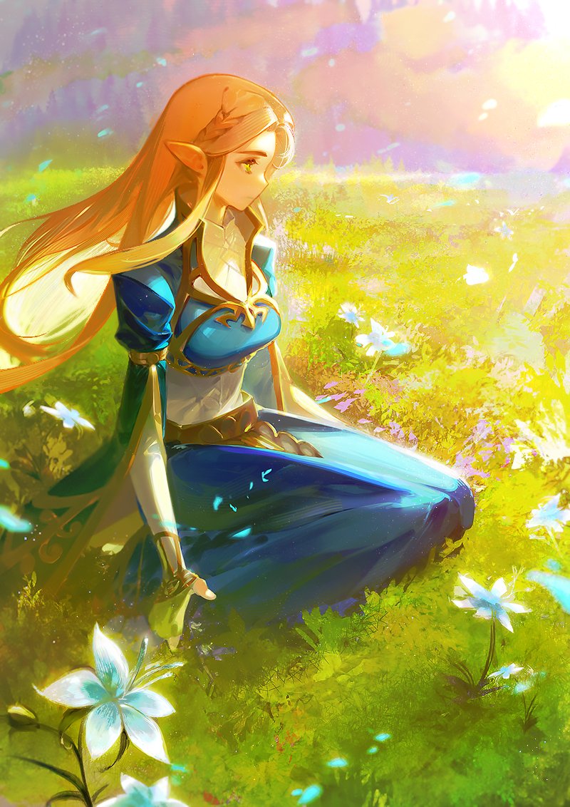 Princess Zelda (Nintendo) Rule 34 Image