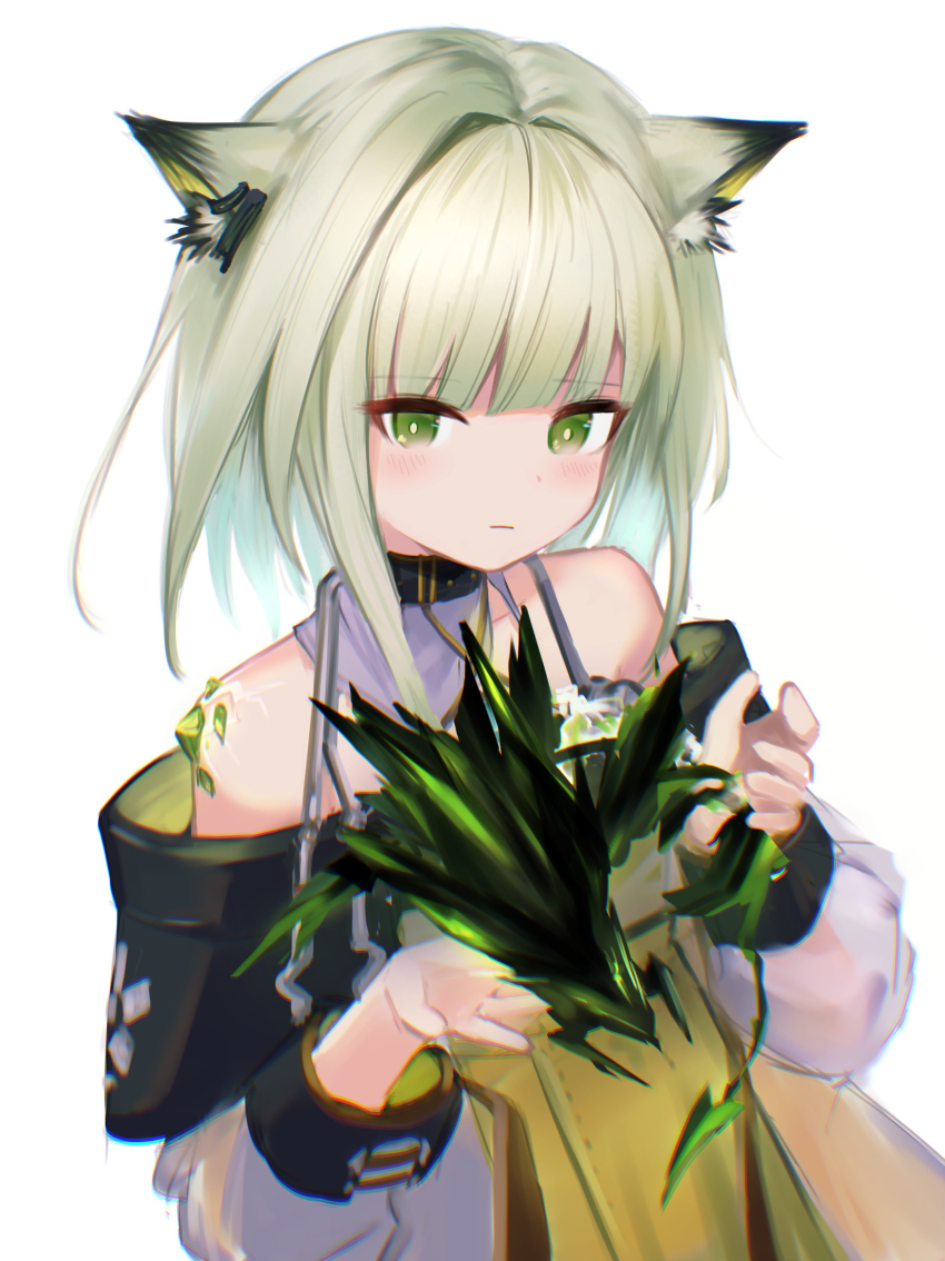 Kal'Tsit (Arknights) Rule 34 Image