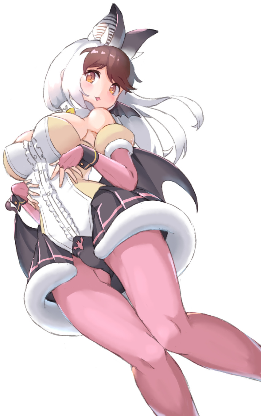 Brown Long-Eared Bat (Kemono Friends) Rule 34 Image