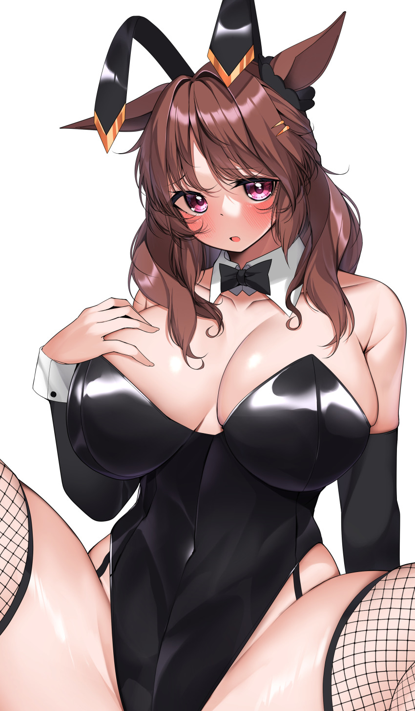 Light Hello (Umamusume) Rule 34 Image