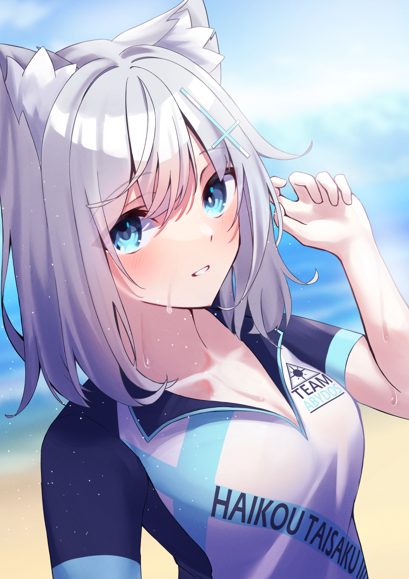 Shiroko (Blue Archive) Rule 34 Image