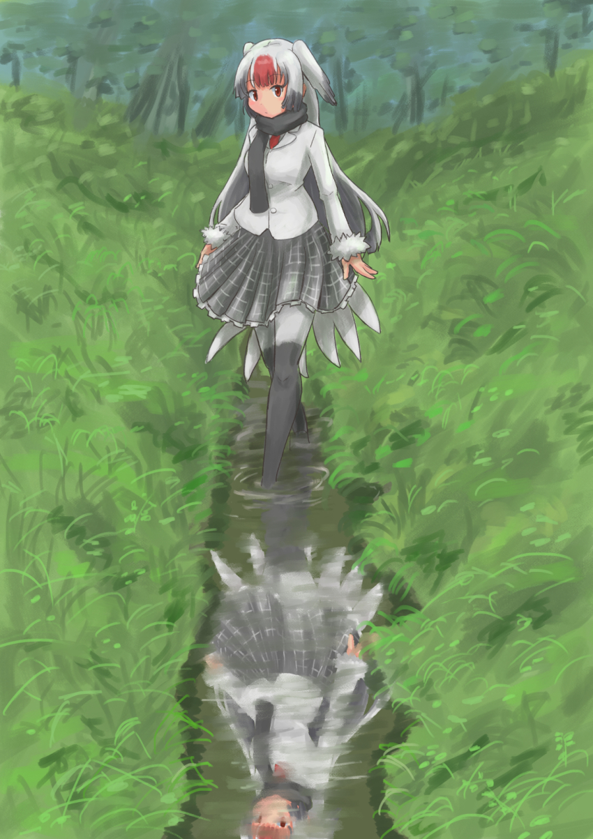 Kemono Friends Rule 34 Image