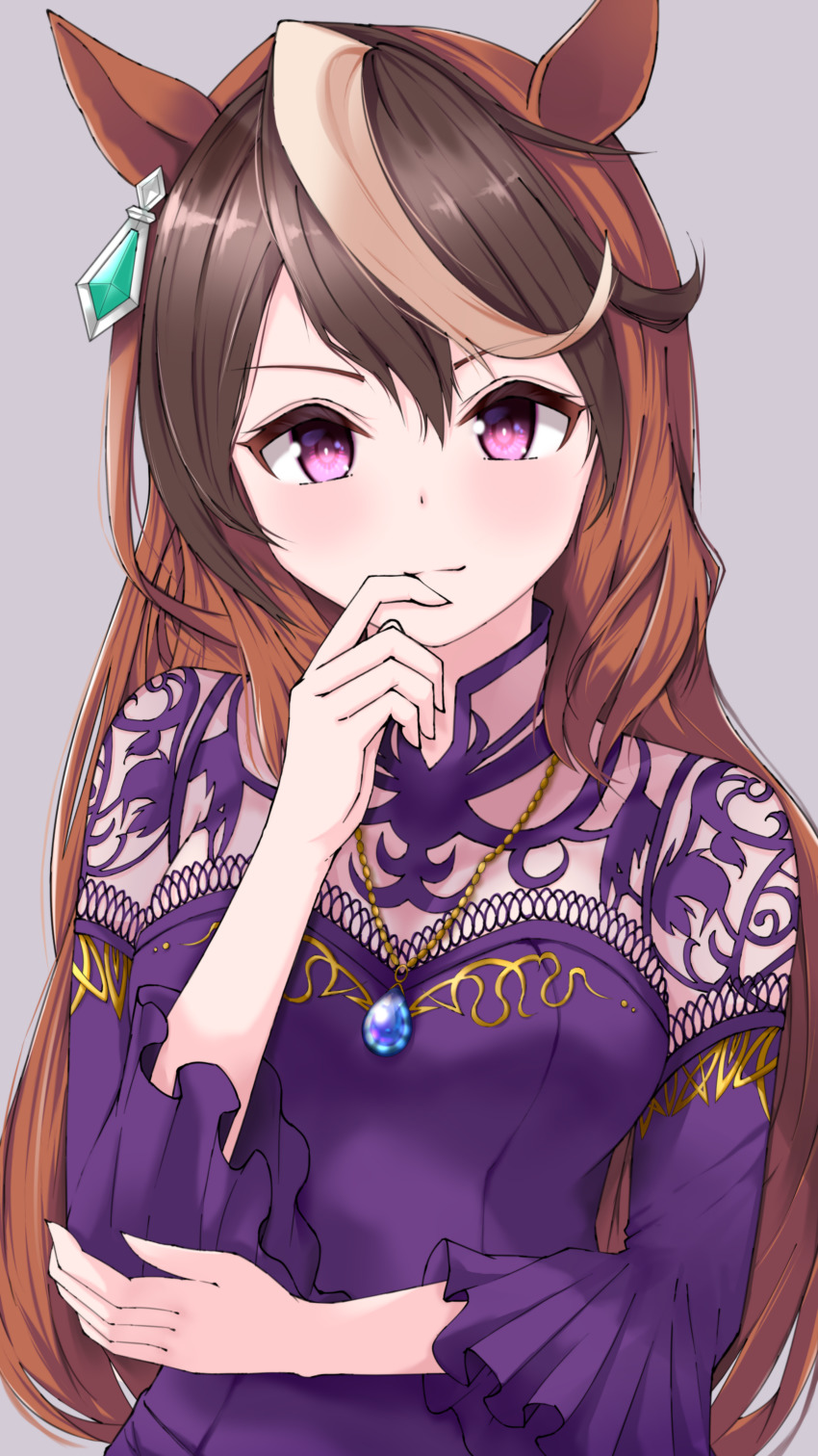 Symboli Rudolf (Umamusume) Rule 34 Image