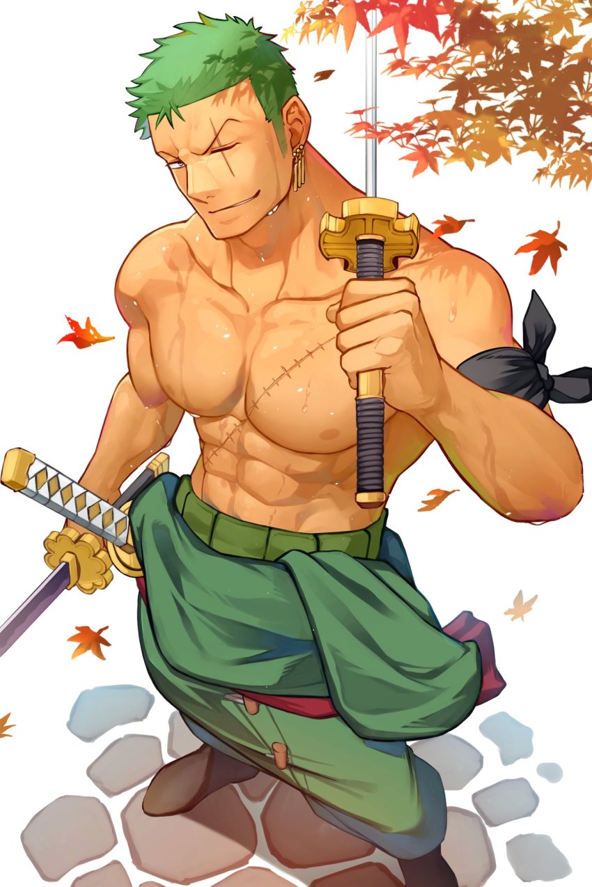 Roronoa Zoro (One Piece) Rule 34 Image