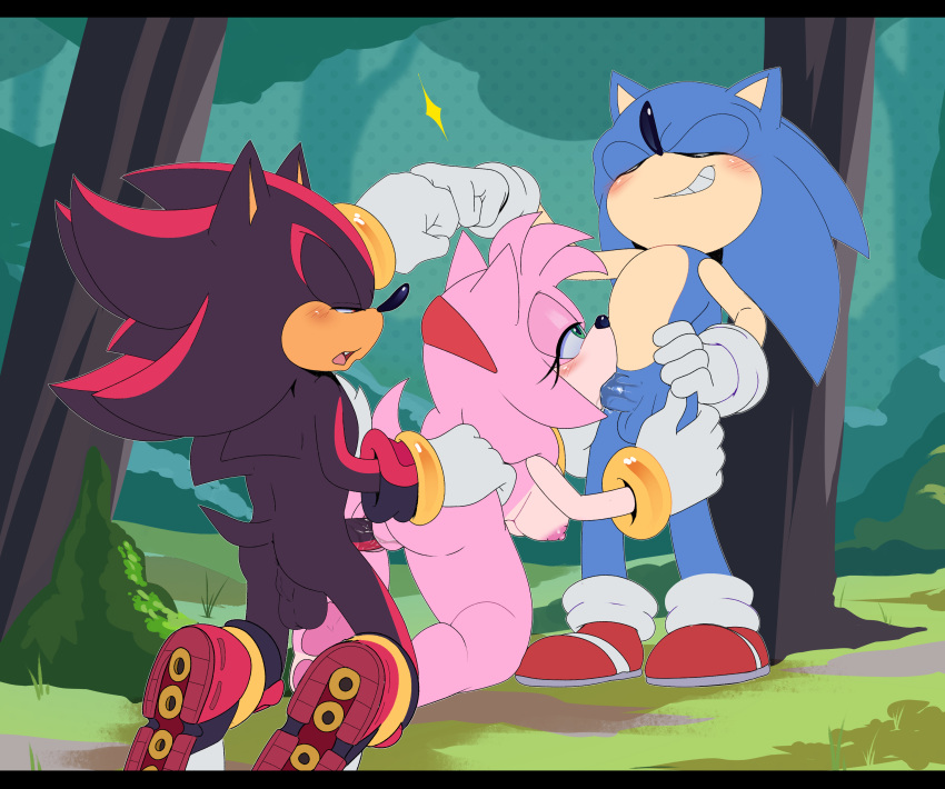 Amy Rose (Sega) Rule 34 Image