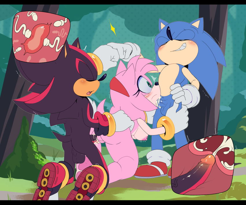 Amy Rose (Sega) Rule 34 Image