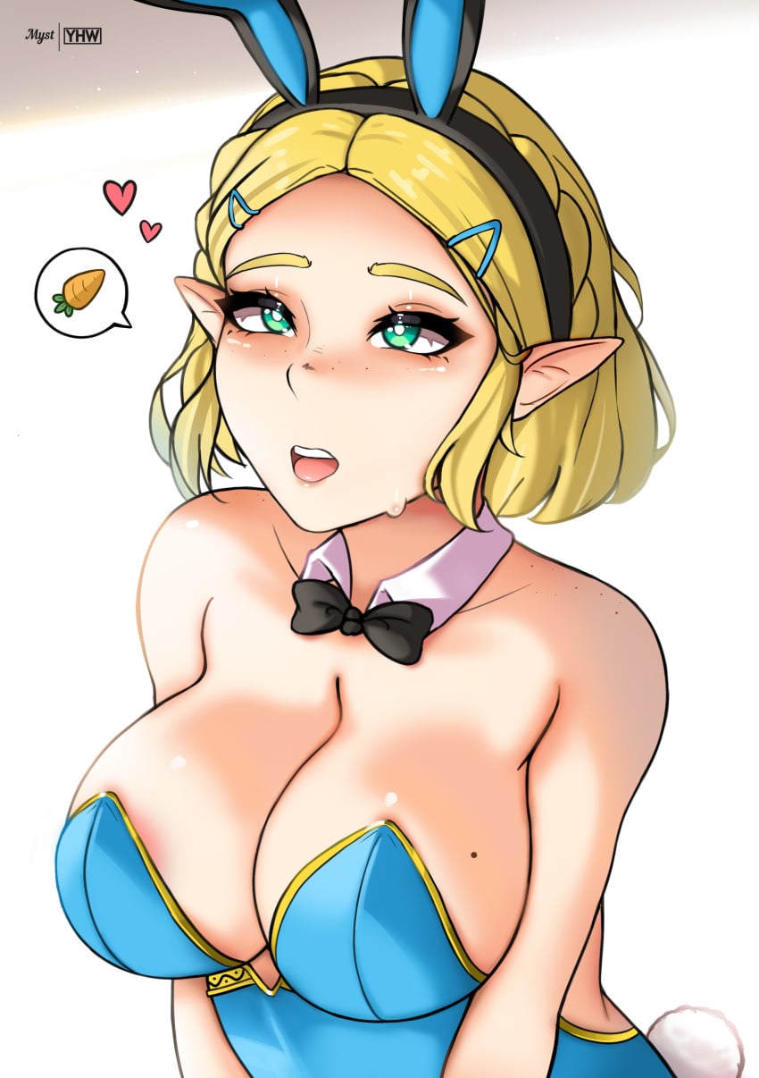 Princess Zelda (Nintendo) Rule 34 Image