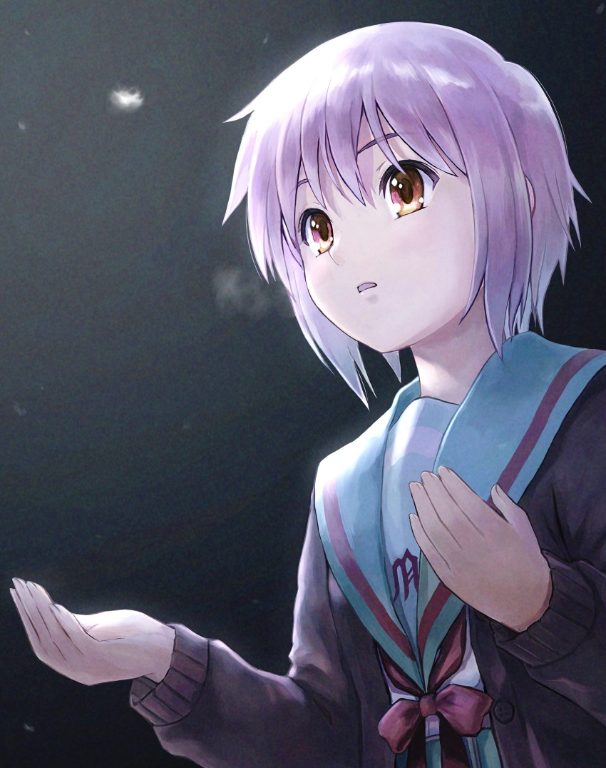 Nagato Yuki (Suzumiya Haruhi No Yuuutsu) Rule 34 Image