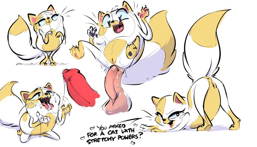 Cake The Cat (Adventure Time) Rule 34 Image