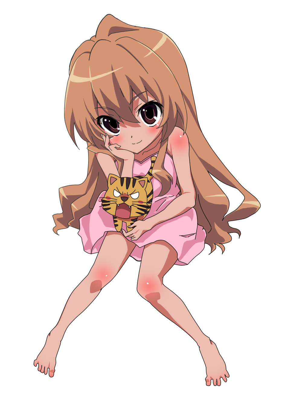 Aisaka Taiga (Toradora!) Rule 34 Image