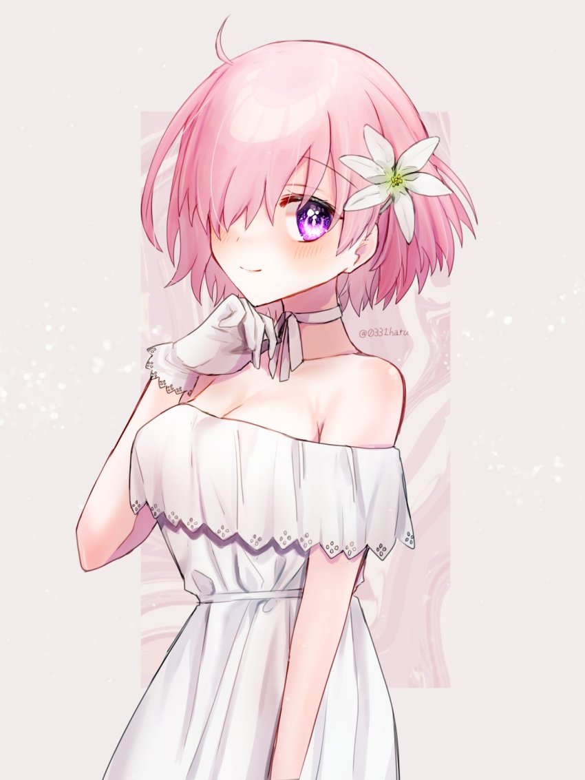 Mash Kyrielight (Fate/Grand Order) Rule 34 Image
