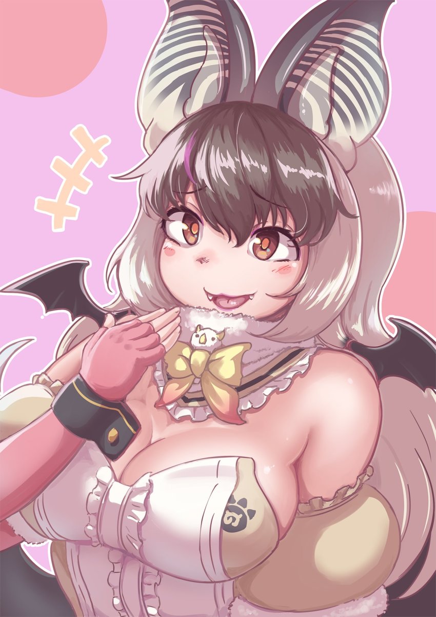 Brown Long-Eared Bat (Kemono Friends) Rule 34 Image