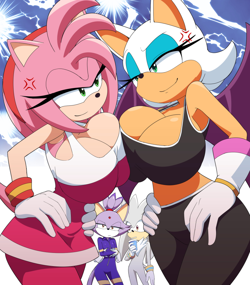Amy Rose (Sonic (Series)) Rule 34 Image