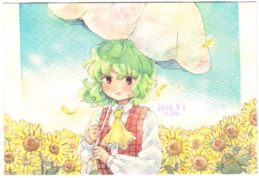 Kazami Yuuka (Touhou) Rule 34 Image