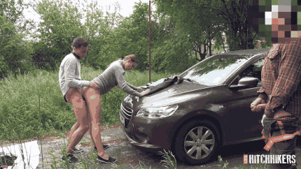 Dogging Rule 34 Image