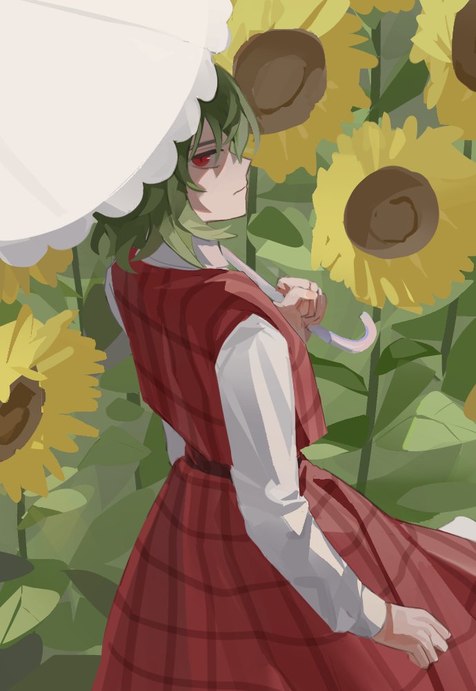Kazami Yuuka (Touhou) Rule 34 Image