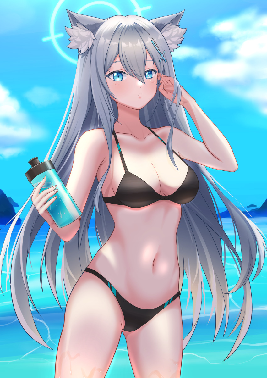 Shiroko (Blue Archive) Rule 34 Image