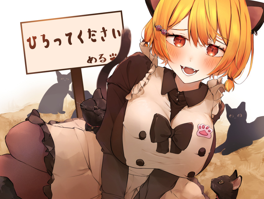 Yozora Mel (Hololive) Rule 34 Image