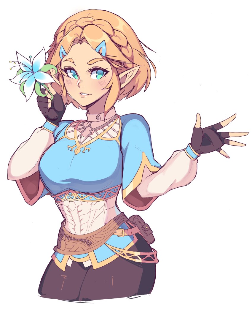 Princess Zelda (Nintendo) Rule 34 Image