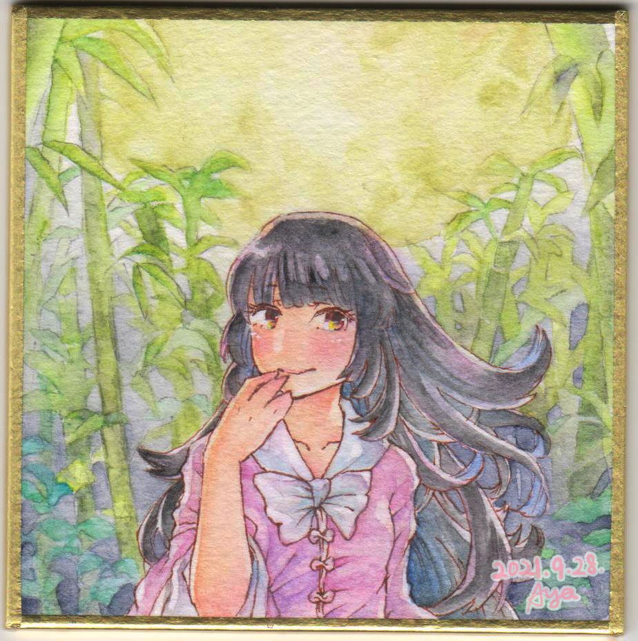Houraisan Kaguya (Touhou) Rule 34 Image