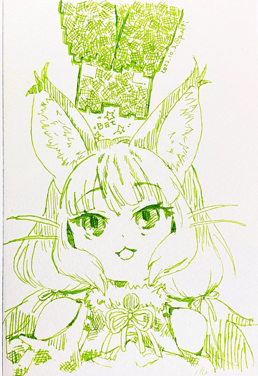 Kemono Friends Rule 34 Image