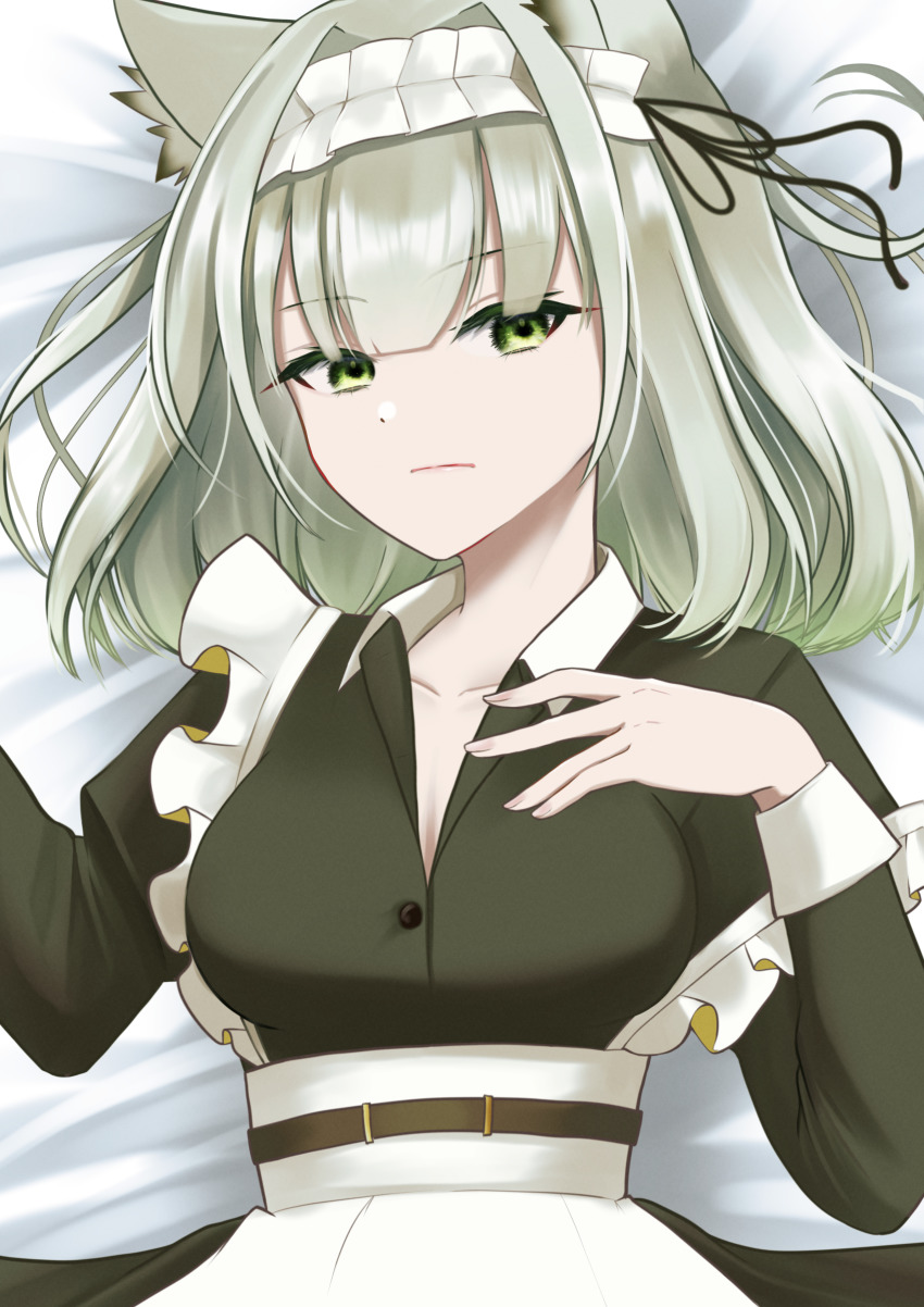 Kal'Tsit (Arknights) Rule 34 Image
