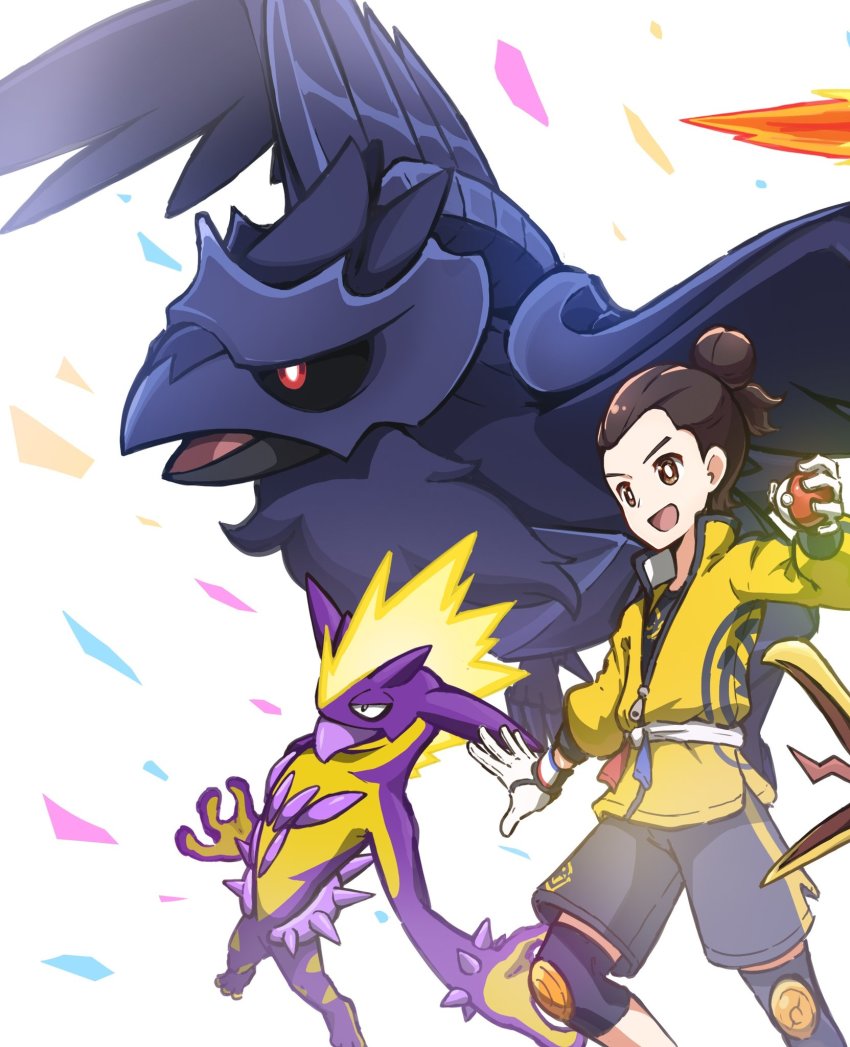 Corviknight (Nintendo) Rule 34 Image