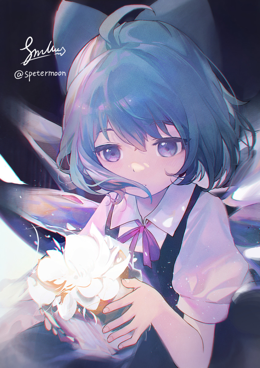 Cirno (Touhou) Rule 34 Image