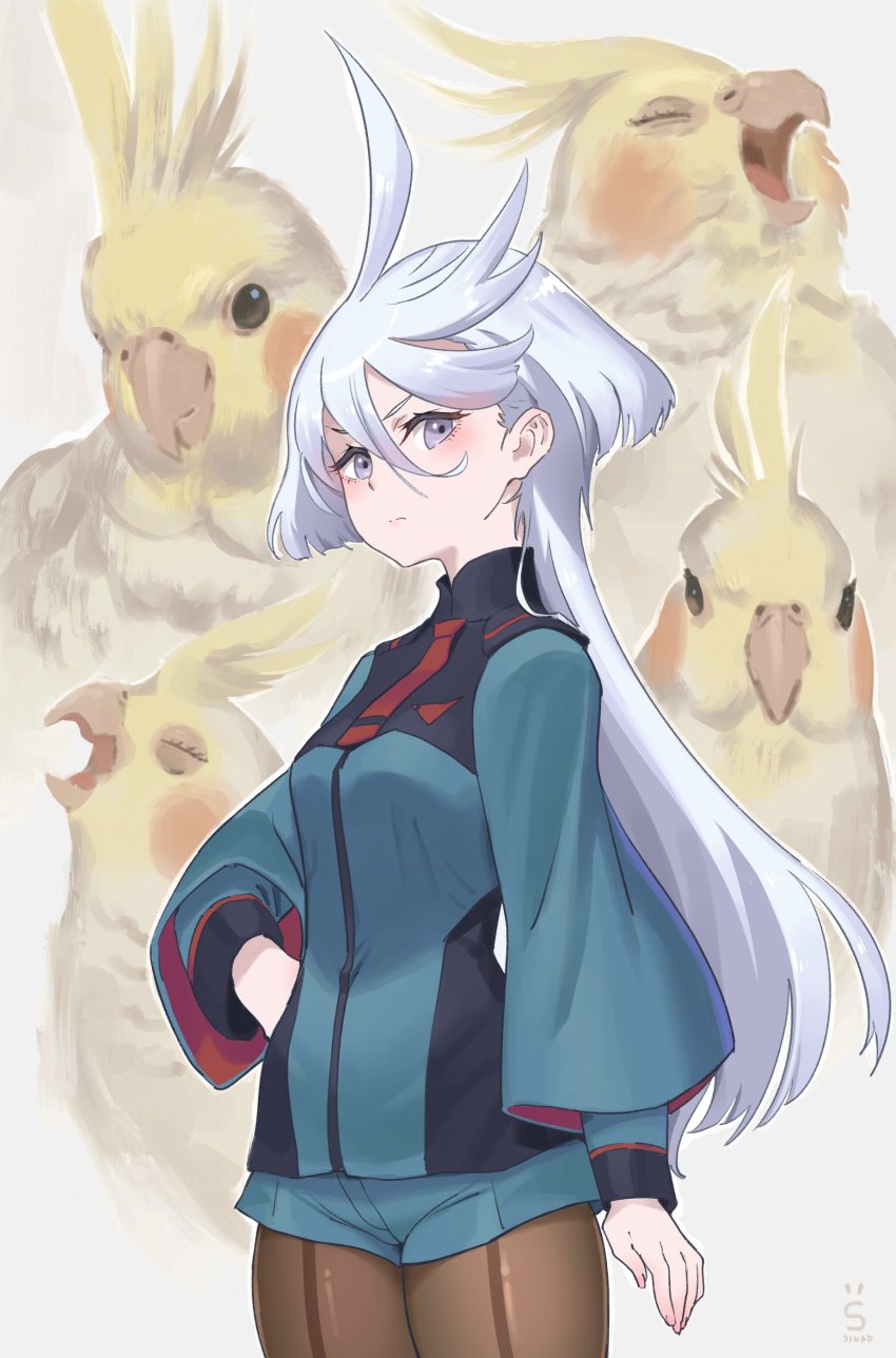 Miorine Rembran (Gundam) Rule 34 Image