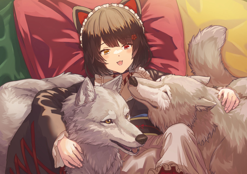 Inui Toko (Nijisanji) Rule 34 Image