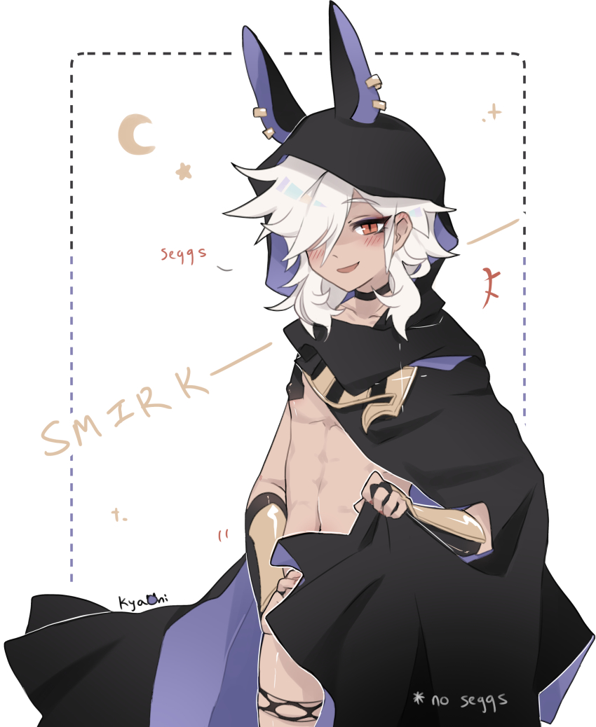 Cyno (Genshin Impact) Rule 34 Image