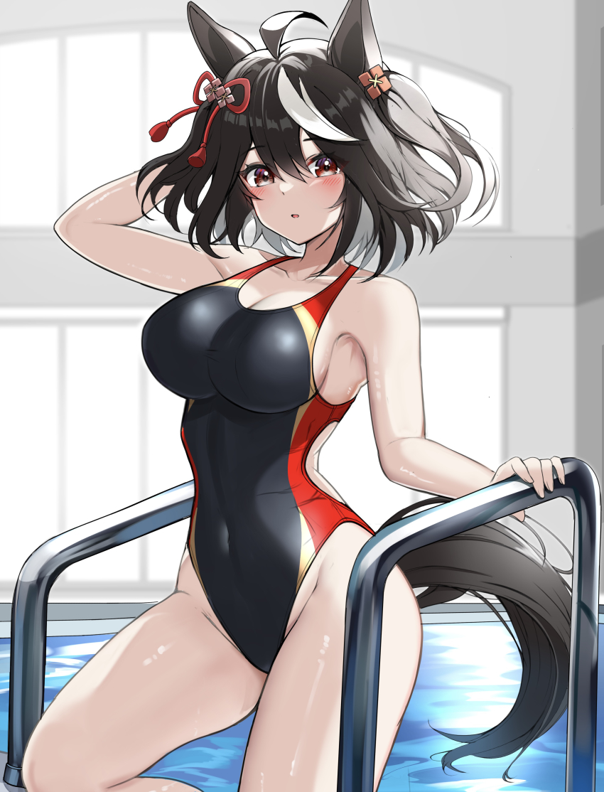 Kitasan Black (Umamusume) Rule 34 Image