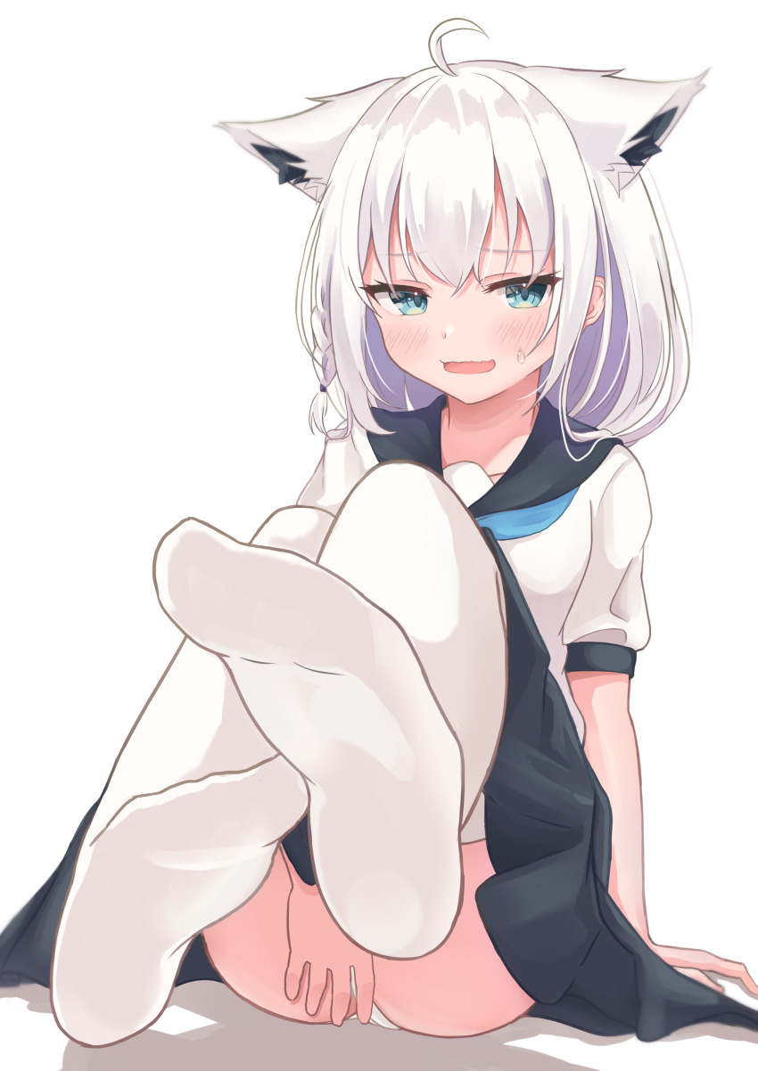 Shirakami Fubuki (Hololive) Rule 34 Image