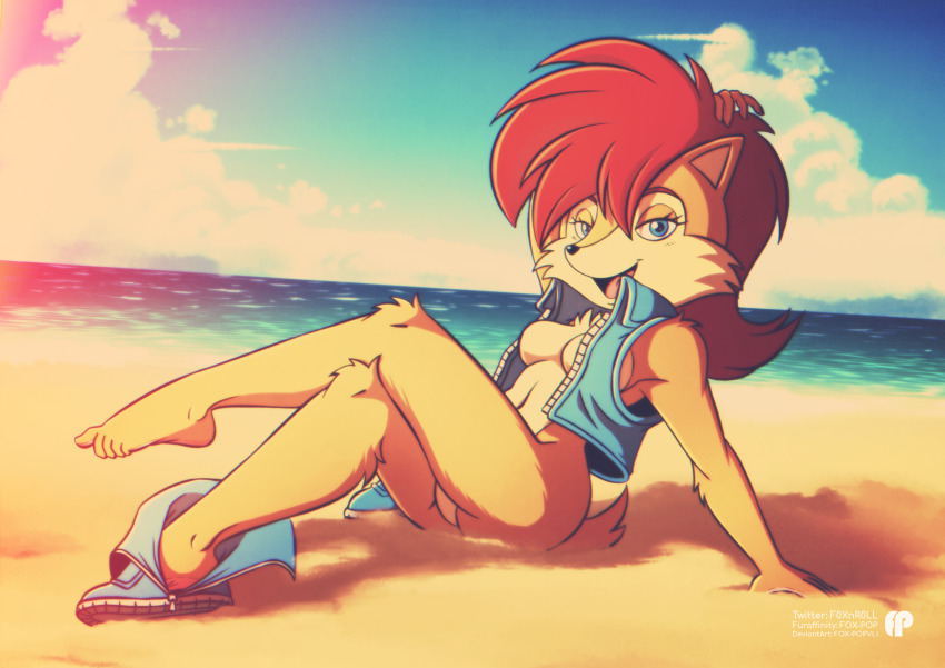 Sally Acorn (Sonic (Series)) Rule 34 Image