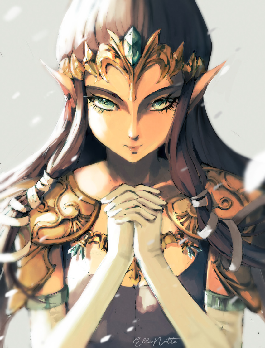 Princess Zelda (Nintendo) Rule 34 Image