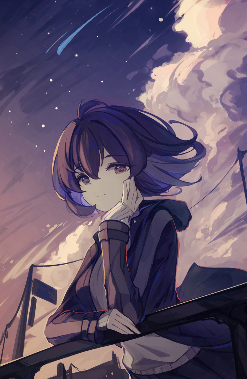 Seele Vollerei (Honkai (Series)) Rule 34 Image
